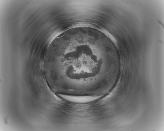 X0000096430953200801241335