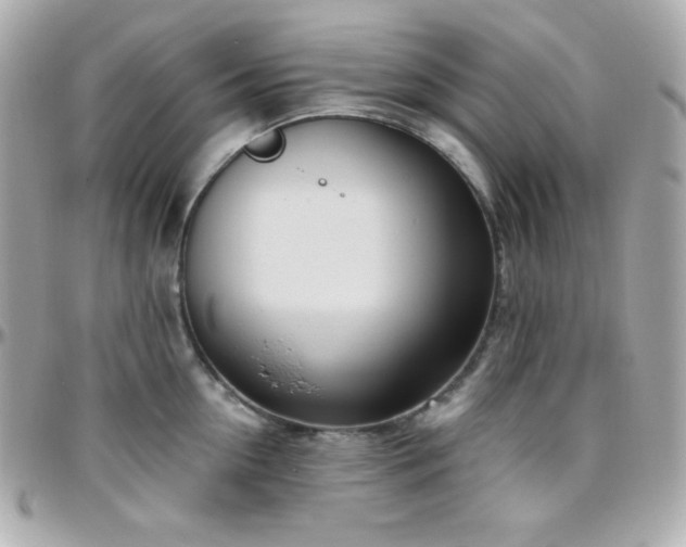 X0000096430954200801241335