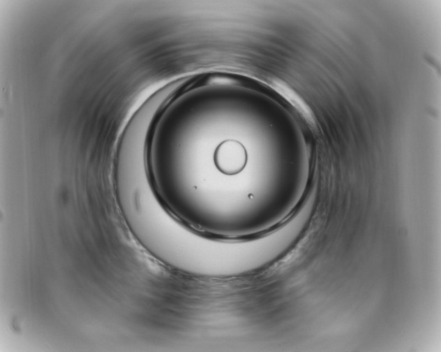 X0000096430956200801241336