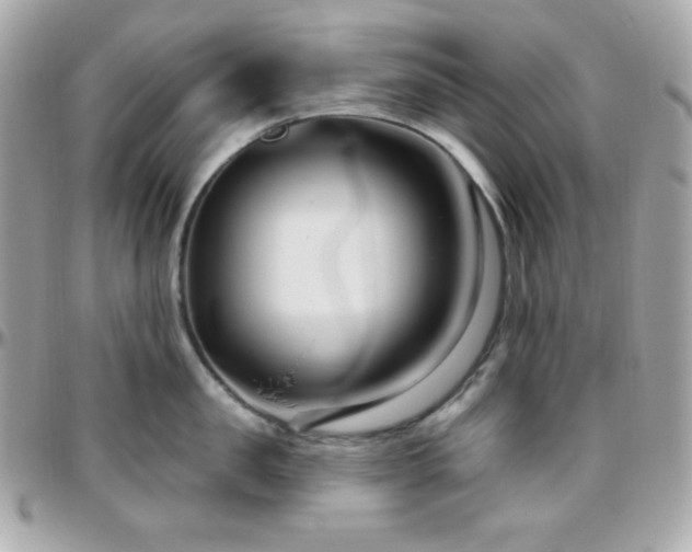 X0000096430957200801241336