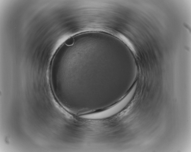 X0000096430958200801241336