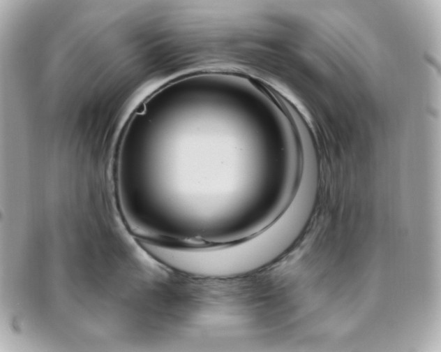X0000096430959200801241336