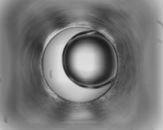 X0000096430960200801241336