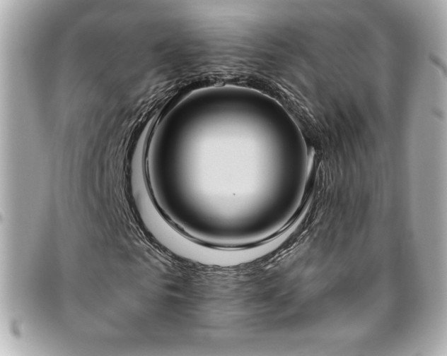 X0000096430961200801241335