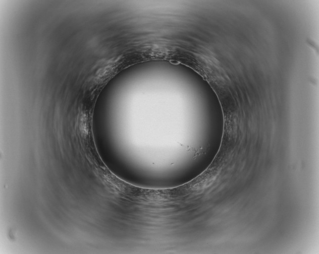 X0000096430962200801241335