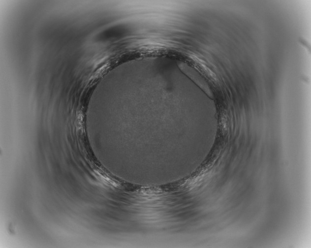 X0000096430964200801241335