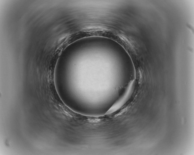 X0000096430965200801241335
