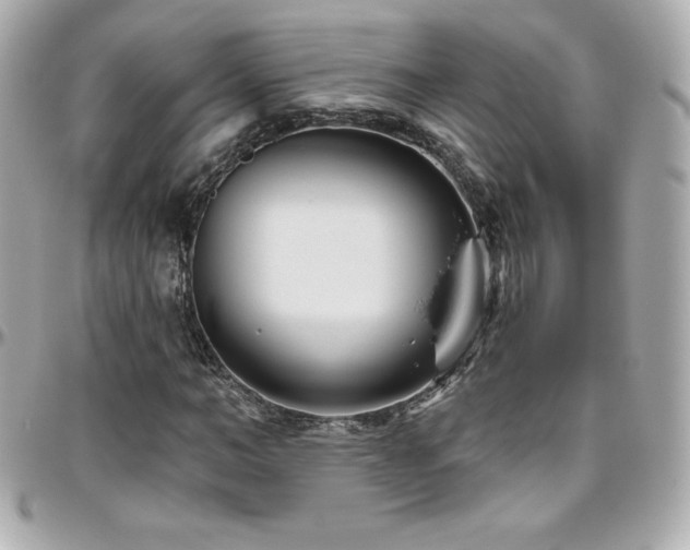 X0000096430966200801241335