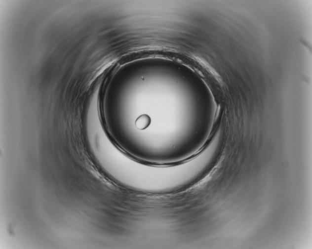 X0000096430969200801241335