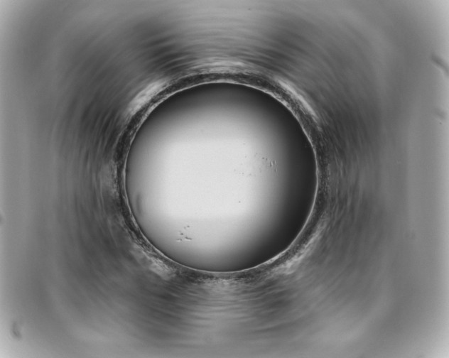 X0000096430970200801241335