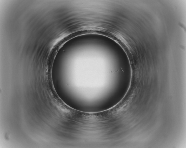 X0000096430971200801241335