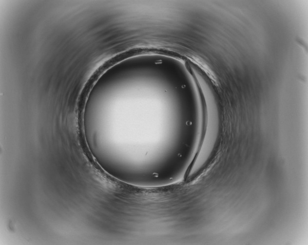 X0000096430976200801241335