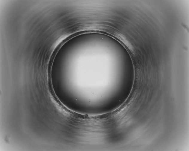 X0000096430980200801241335