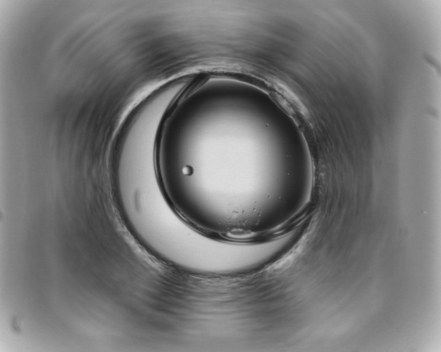 X0000096430981200801241335