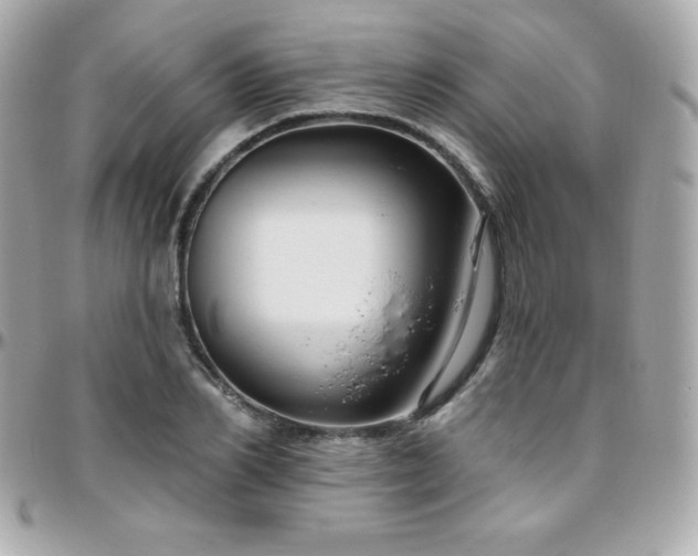 X0000096430982200801241335