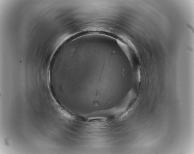 X0000096430984200801241335