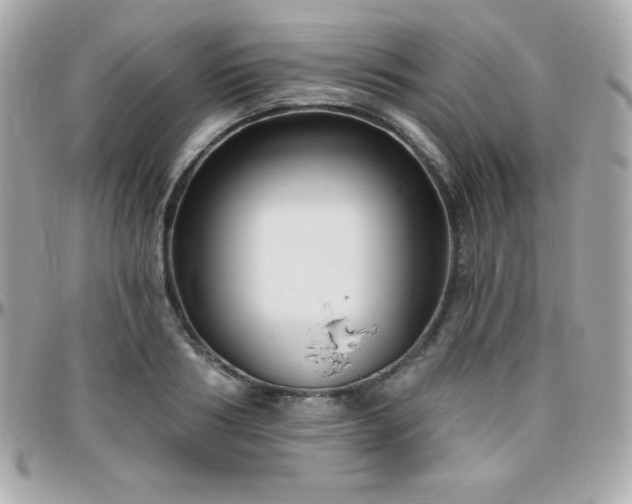 X0000096430986200801241335