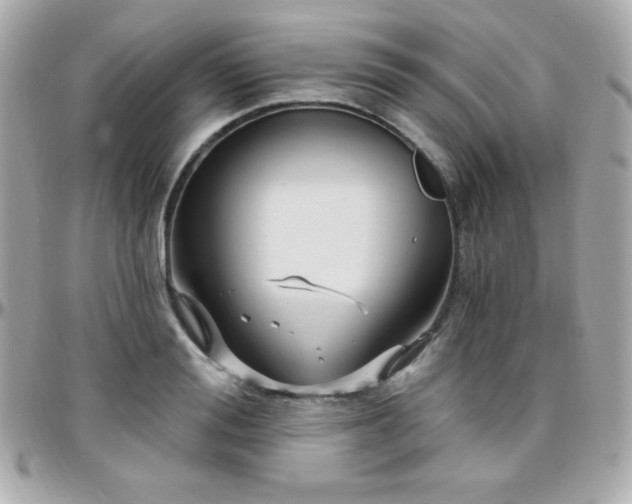 X0000096430988200801241335
