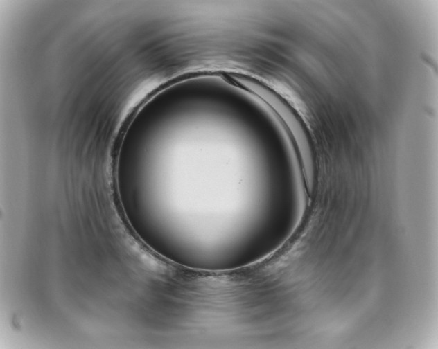 X0000096430990200801241335