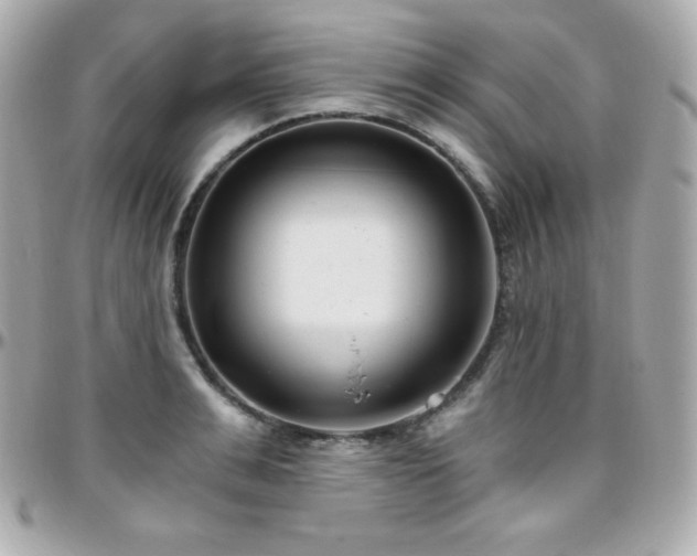X0000096430991200801241334