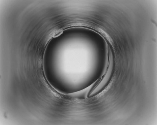 X0000096430993200801241334