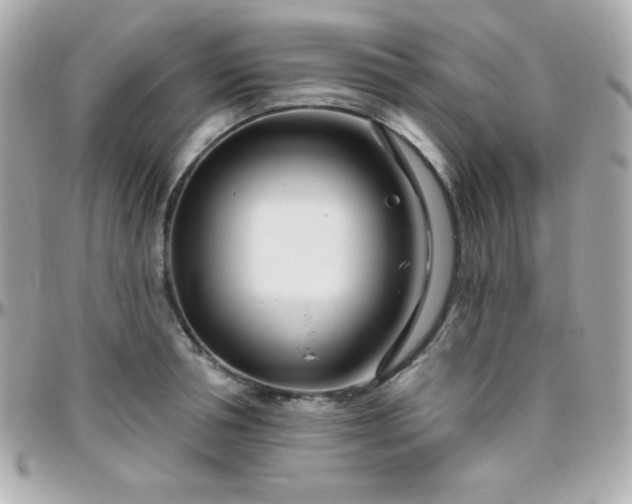 X0000096430994200801241334