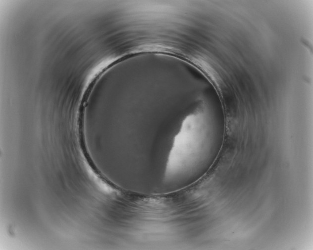X0000096430995200801241334