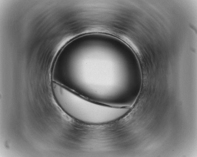 X0000096430996200801241334