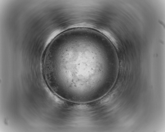 X0000096430998200801241334