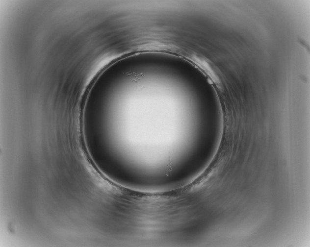 X0000096431000200801241334