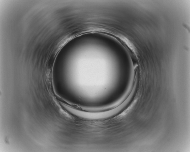 X0000096431001200801241334