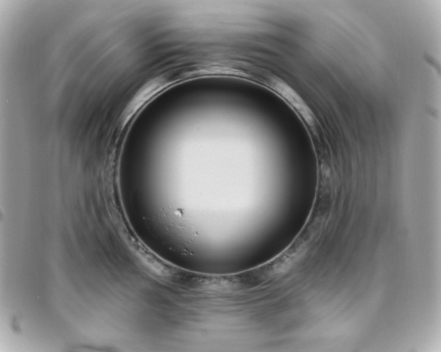 X0000096431002200801241334