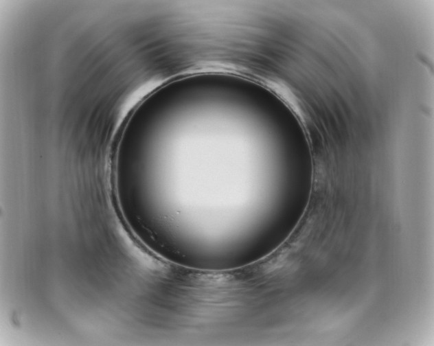 X0000096431003200801241334
