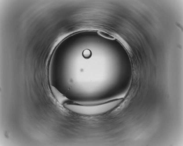 X0000096431004200801241334
