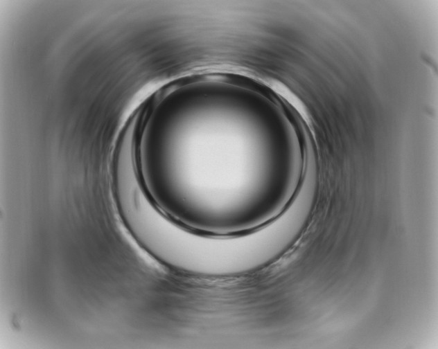 X0000096431005200801241334