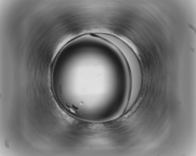 X0000096431006200801241334