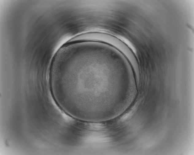 X0000096431007200801241334