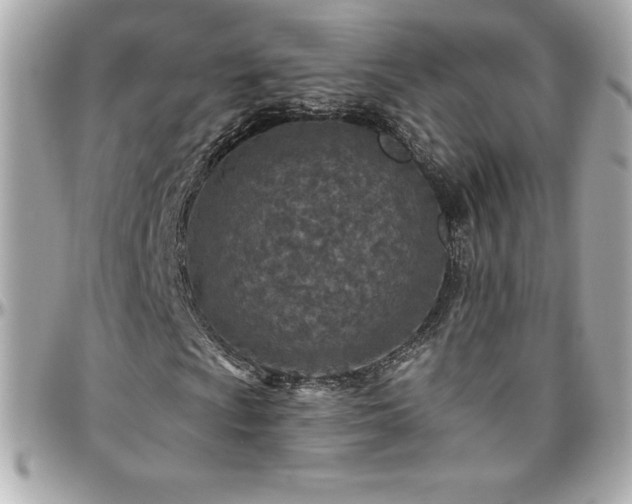 X0000096431009200801241334