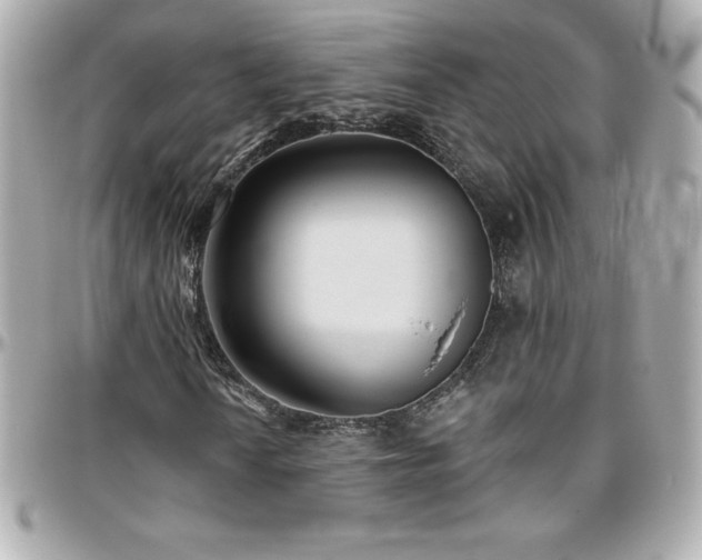 X0000096431010200801241334