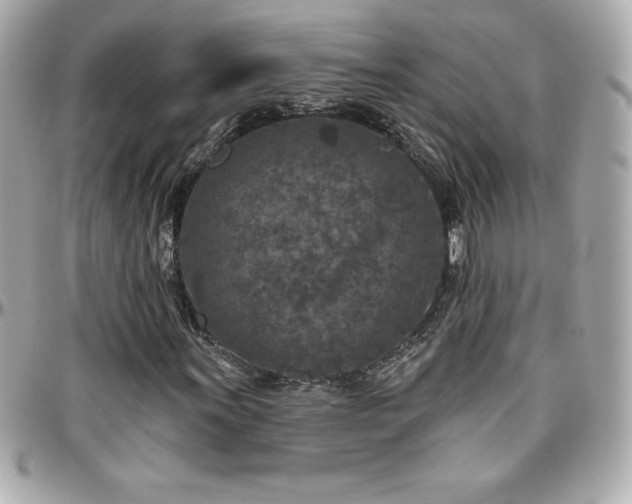 X0000096431011200801241334