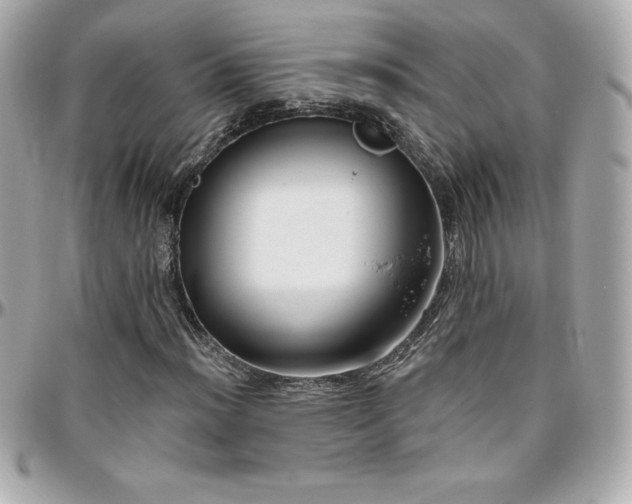 X0000096431012200801241334