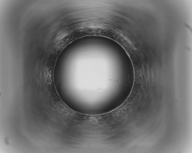 X0000096431013200801241334