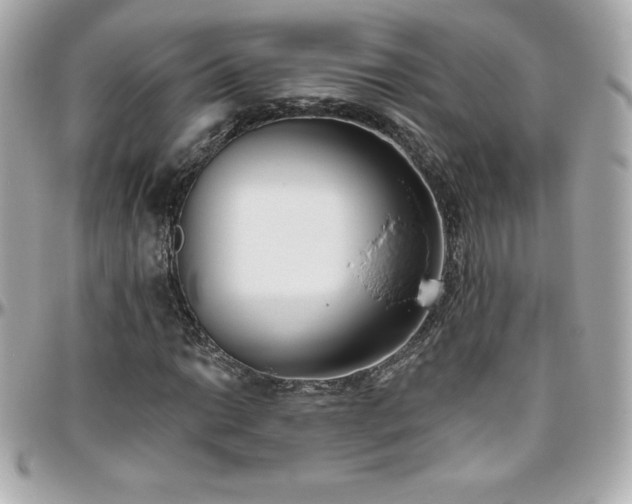 X0000096431014200801241334