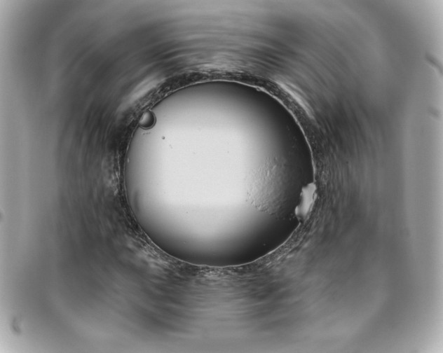 X0000096431015200801241334
