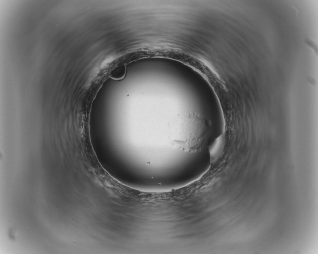 X0000096431016200801241334