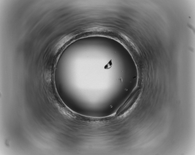 X0000096431017200801241334