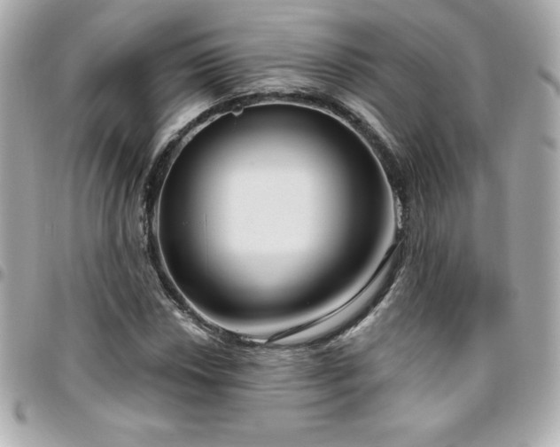 X0000096431018200801241334