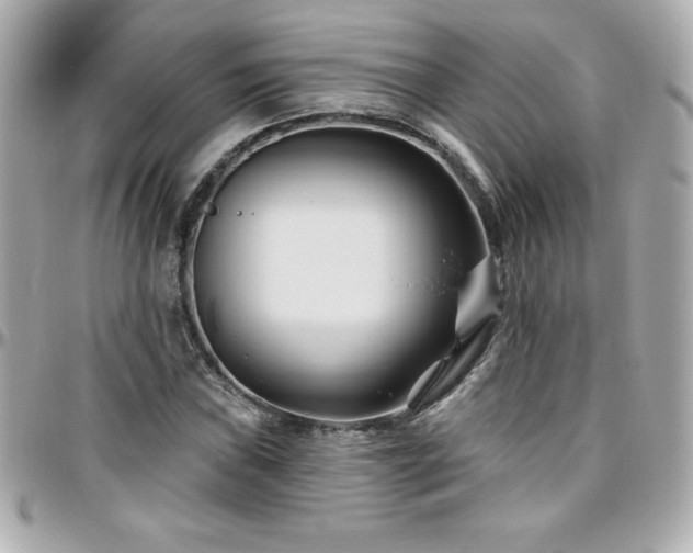 X0000096431019200801241334