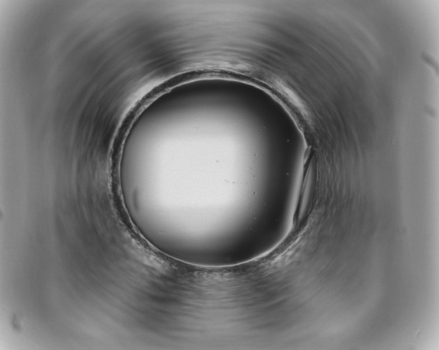 X0000096431020200801241334