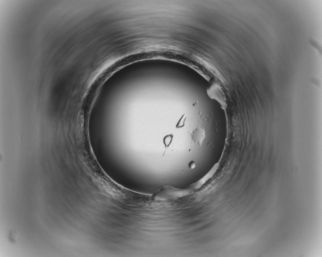 X0000096431021200801241334